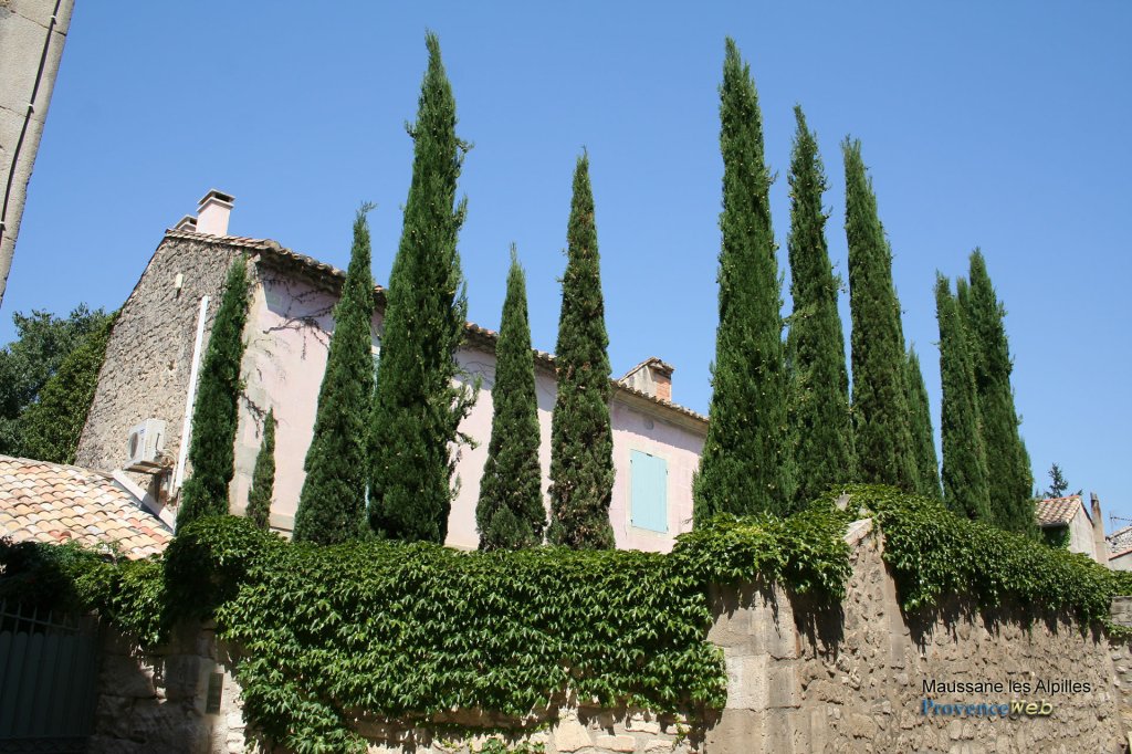 Maussane les Alpilles.