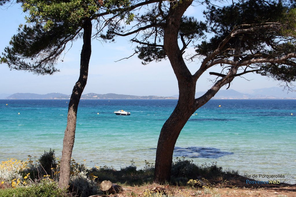 île de Porquerolles.
