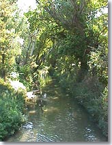 Monteux - Riviere