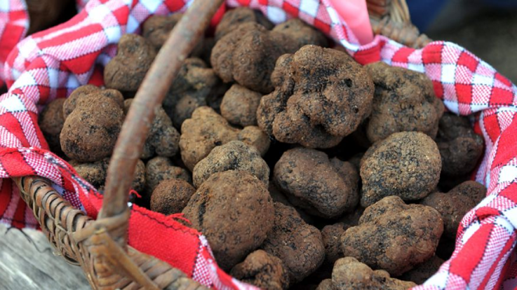Marché aux truffes dans le Vaucluse.