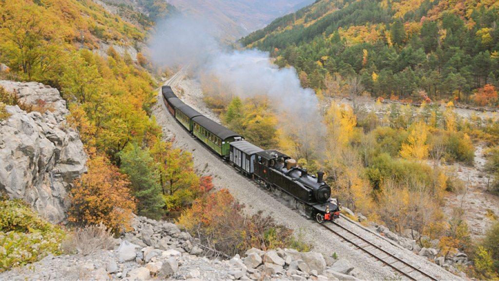 Le train des pignes.