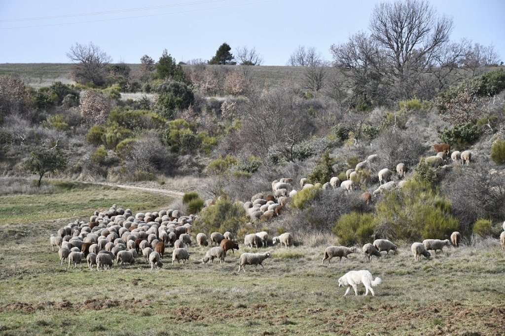 Randonnées près de Saint Julien d'Asse.