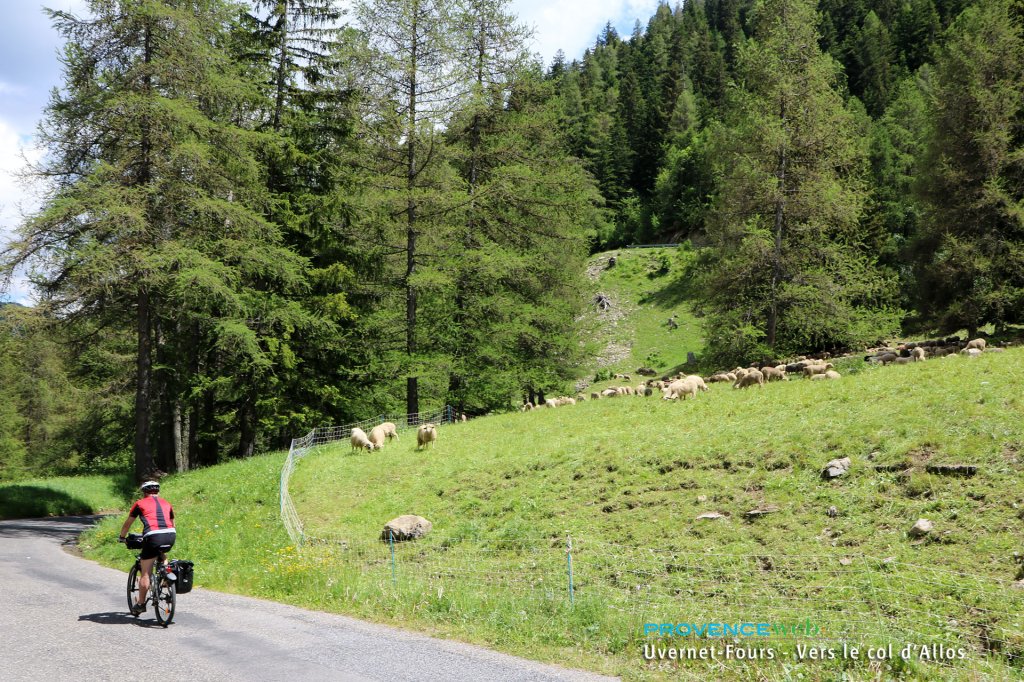 Col d'Allos.