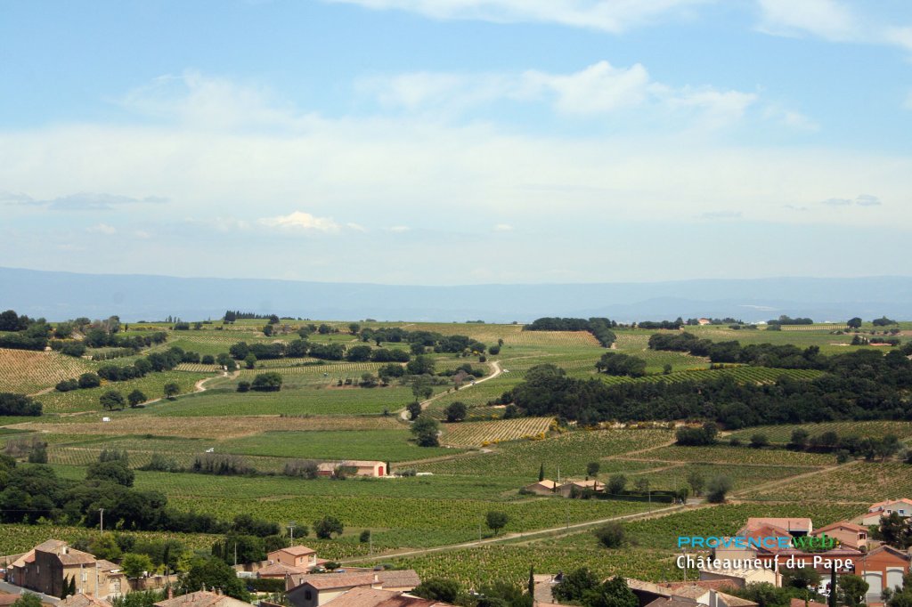 Vignes à Châteauneuf du Pape.