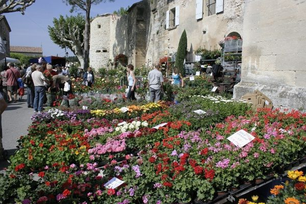 Marché aux fleurs dans le Vaucluse.