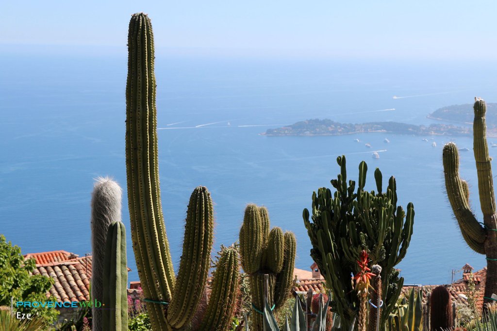 Jardin botanique d'Eze.