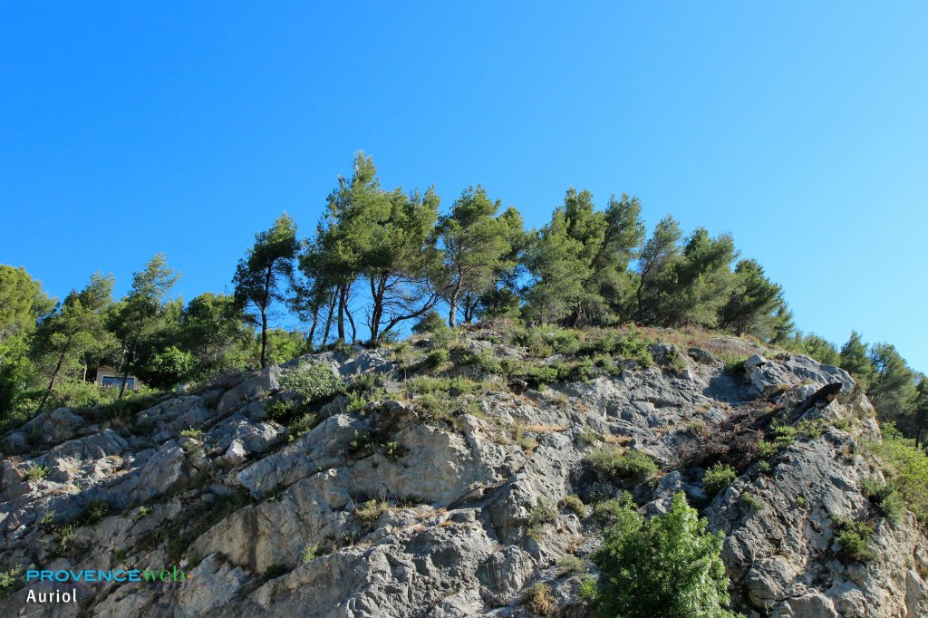 Nature.