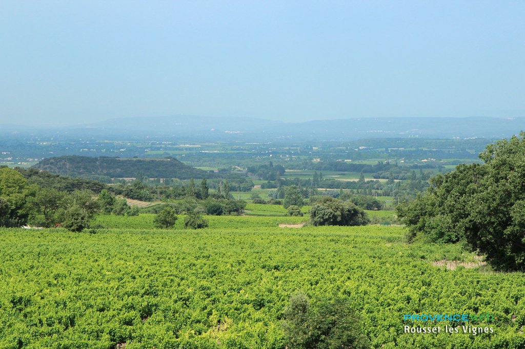 Vignoble à Rousset les Vignes.