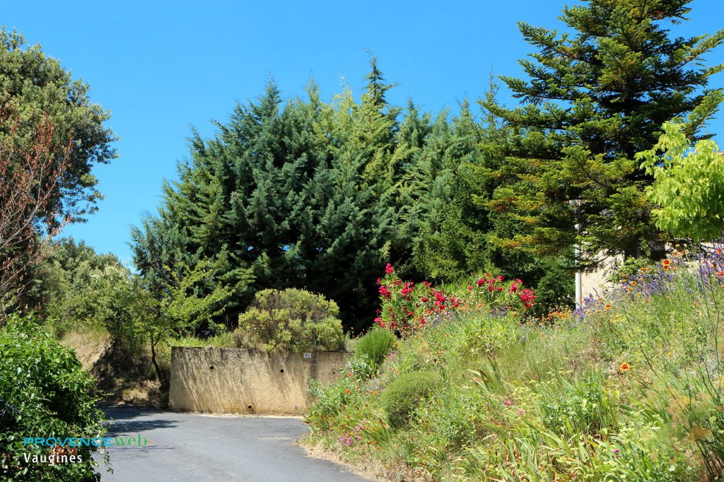 Route à Vaugines.