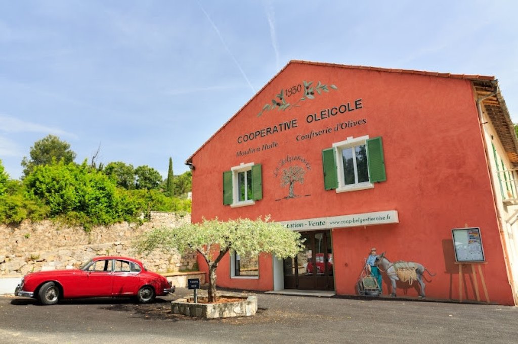 Coopérative Oléicole.