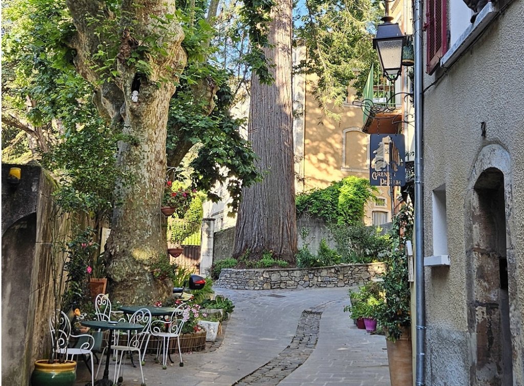 jolie rue de Belgentier.