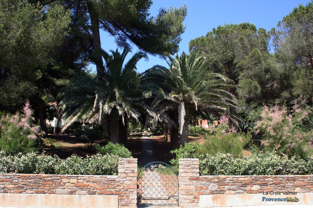 Jardin d'une propriété avec des beaux palmiers.