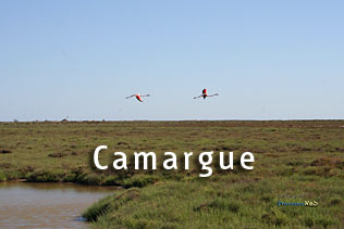 Photos Camargue HD