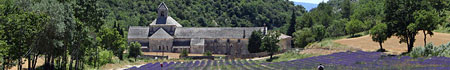 Abbaye de Sénanque - Provence authentique