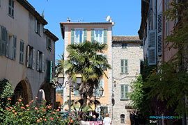 Biot, square and palm tree