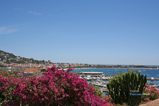 Cannes - Marina