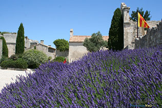 Baux de Provence, 37 HQ Photographs