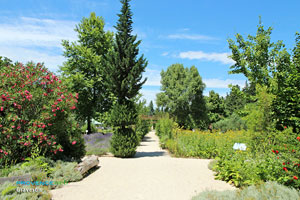 Graveson, jardin du Musée des Senteurs
