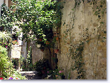 Mirabel aux Baronnies, ruelle