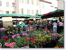 Montelimar, market