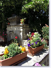 Saint Auban sur l'Ouveze, flowered fountain