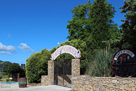 Wine estate, Bandol wines