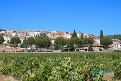 Carnoules, le village dans les vignes