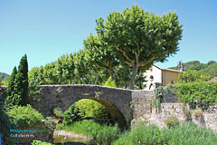 Collobrières, pont en dos d'âne du XIIème siècle
