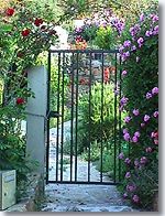 Ile du Levant, flowered doorway