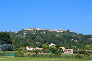 Montauroux, the village