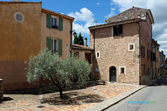 Tavernes, small square with an olive trees