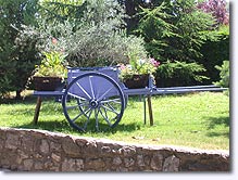 Beaumont de Pertuis, garden