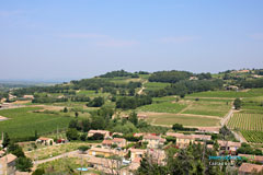 Cairanne, vignes des Côtes du Rhône
