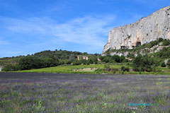 Lioux, falaise et champs de lavandes