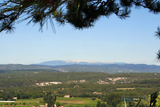 Menerbes, view of the Mont Ventoux