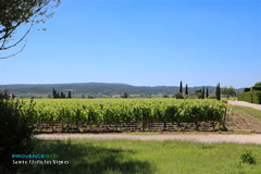 Sainte Cécile les Vignes, paysage de vignobles
