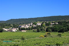 Saint Roman de Malegarde, le village